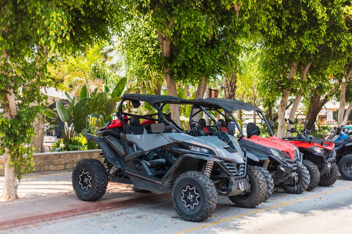 A row of rental vehicles parked under trees on a bright day